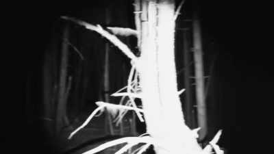 [suspenseful music playing] - Expedition Bigfoot