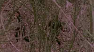 [SUSPENSEFUL MUSIC PLAYING] - Relic Hunter