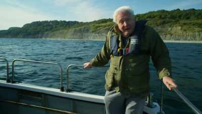 [ Suspenseful music plays ] - Attenborough and the Sea Dragon