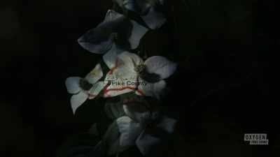  [suspenseful music] - The Pike County Murders: A Family Massacre