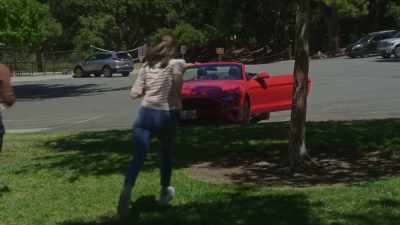[suspenseful music] - Picture Perfect Lies