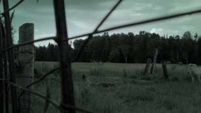 [suspenseful music] - Eyewitness