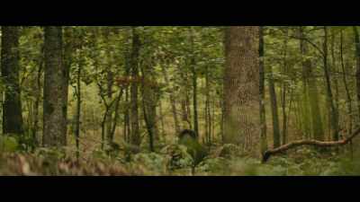(suspenseful music) - The Bigfoot Trap
