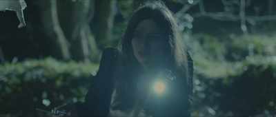 (suspenseful music) - Island of the Dolls