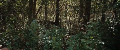 (suspenseful music) - Deep Woods