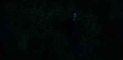 (suspenseful music) - Condor