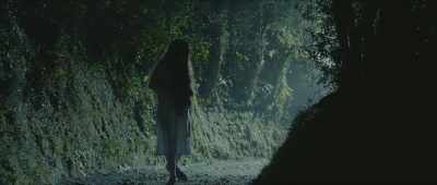 (suspenseful piano music) - Island of the Dolls