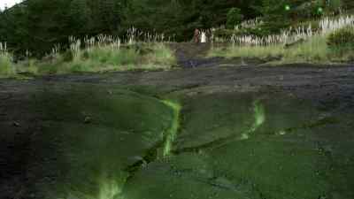 ( suspenseful theme playing ) - Legend of the Seeker