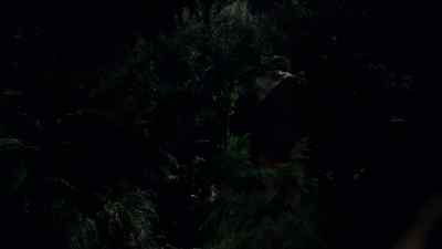 ( suspenseful theme playing ) - Legend of the Seeker