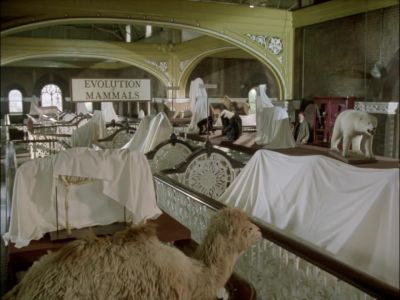 (suspenseful violin music) - Agatha Christie's Poirot