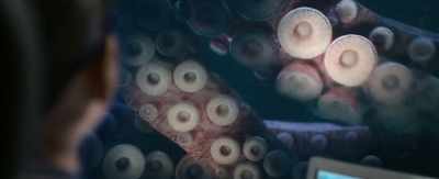 Suyin, what's happening? - The Meg