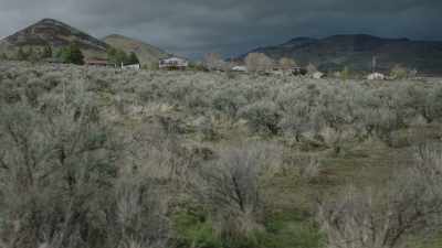 Suzette: They all pulled up
in, like, a posse-- - Lorena