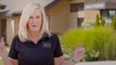Suzi: And we have a,
like, a dummy tree, - Secrets of the Zoo