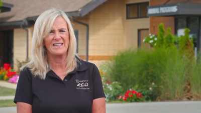 Suzi: When we put the otters
in the pool, - Secrets of the Zoo