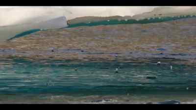 Svalbard's climate is warming
six times faster than the global average. - Our Oceans