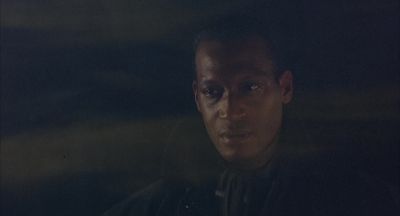 Swallow your horror and let it nourish you - Candyman: Farewell to the Flesh