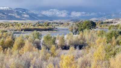  [sweeping music] - Mistletoe in Montana