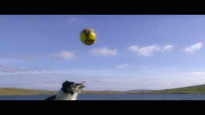 ? Sweet dreams of you ? - Billy & Molly: An Otter Love Story