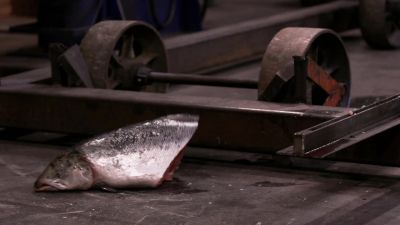 Sweet. - Forged in Fire