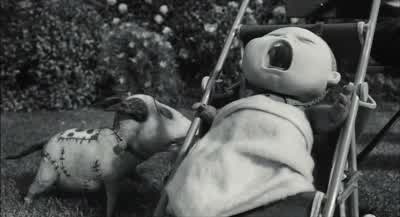 Sweetie, you okay? - Frankenweenie