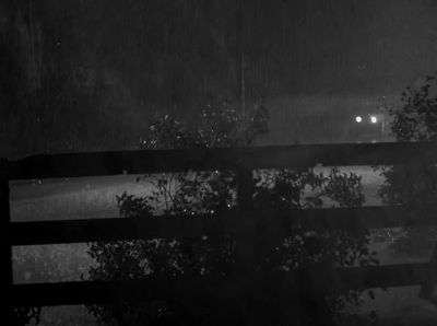 Swell night for a murder - The Strange Case of Doctor Rx
