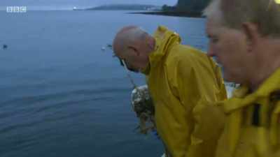 Swim for another day. Off they go. - Cornwall: This Fishing Life