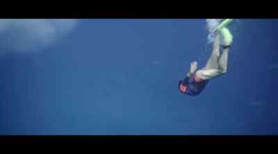 Swimming with the dolphins here
in Hawaii, it's just euphoric. - 100 Foot Wave