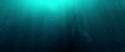 Swing the second crane over. - The Meg