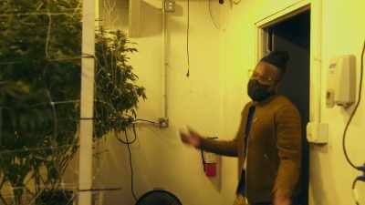 (swooshing) - Wake & Bake with Dom Brown
