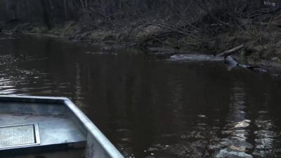 Sydney, beaver. - Life Below Zero: Next Generation