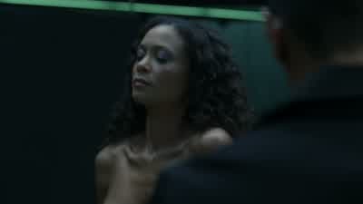 Sylvester, good luck. - Westworld