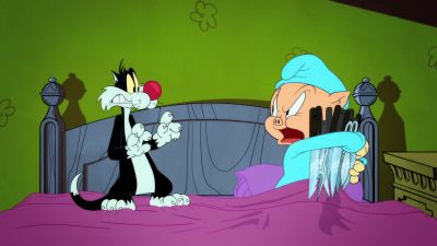 Sylvester! - Looney Tunes Cartoons