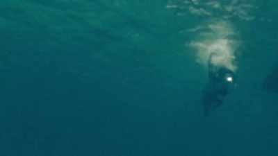 SYLVIA: It was a personal revelation
that made that transition, - Playing with Sharks
