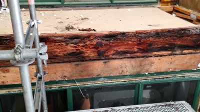 SZULGIT: Timber is
strong, durable, - Engineering Catastrophes