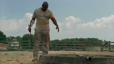 - T-Dog: Come on, guys, pull. - The Walking Dead