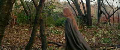 Tact and charm... - Boudica: Rise of the Warrior Queen