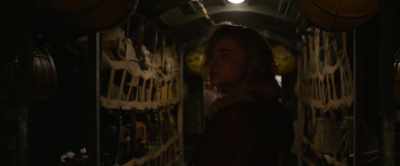 TAGGART: Captain! Some
broad's just boarded this plane - Shadow in the Cloud
