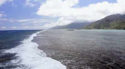 Tahiti is a shark sanctuary, - Shark Attack Files