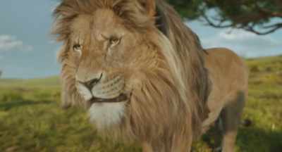 Taka, how could you lose
to a stray? - Mufasa: The Lion King