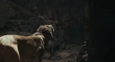 Taka! Taka, please. Please! - Mufasa: The Lion King