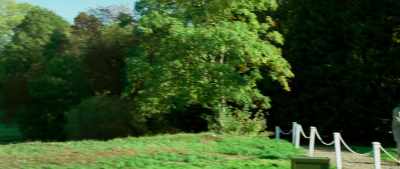 Take a driver, get it up there.
Give us a chance going at the green. - The Phantom of the Open