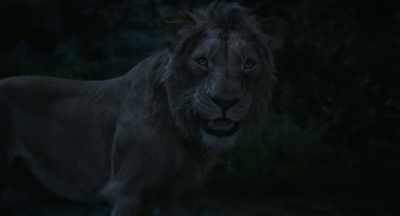 Take a good look. I am a lion. - Mufasa: The Lion King