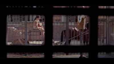 Take a last look, Spartacus. - Spartacus