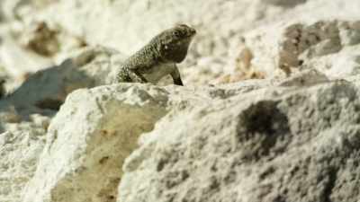 Take a look around and you spy
recognizable figures ‐‐ - When Nature Calls with Helen Mirren