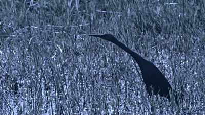 Take a look around and you spy
recognizable figures ‐‐ - When Nature Calls with Helen Mirren