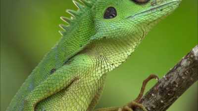 Take a look around and you spy
recognizable figures ‐‐ - When Nature Calls with Helen Mirren