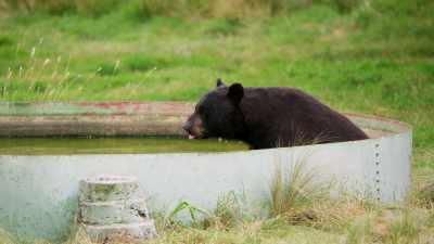 Take a look around and you spy
recognizable figures ‐‐ - When Nature Calls with Helen Mirren