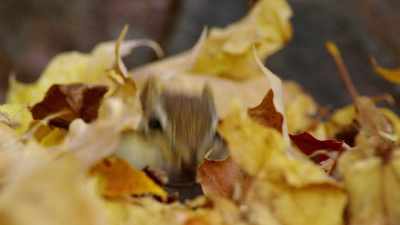 Take a look around and you spy
recognizable figures ‐‐ - When Nature Calls with Helen Mirren