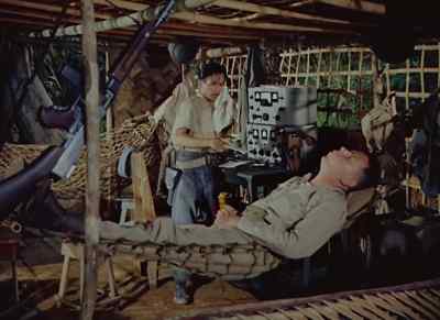 Take a look at this, sir. - American Guerrilla in the Philippines