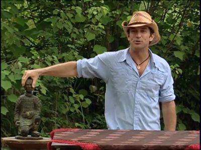 Take back immunity - Survivor